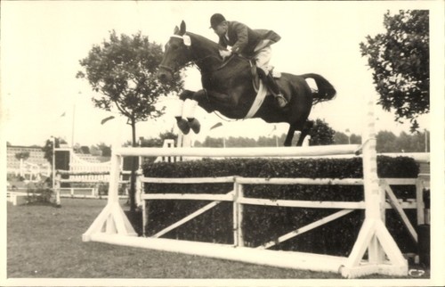 Foto springreiten sprung - springreiten,,