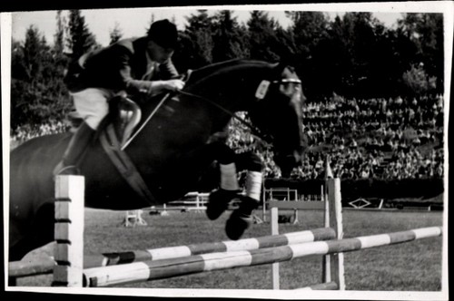Foto trier springreiten - foto, ak