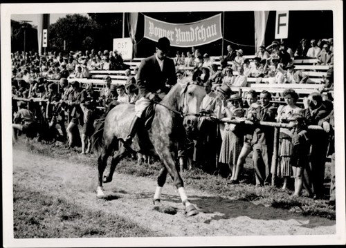 Foto reitturnier - foto,