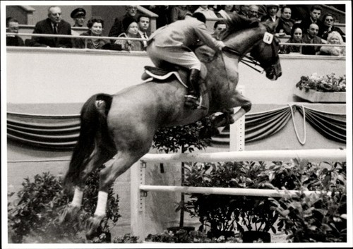 Foto berlin springreiten - foto,