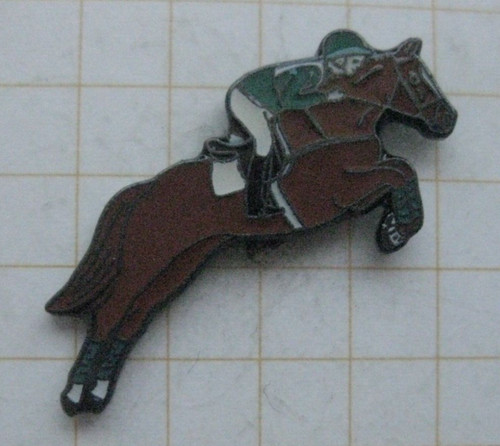 Springreiten pferde sport - springreiten,