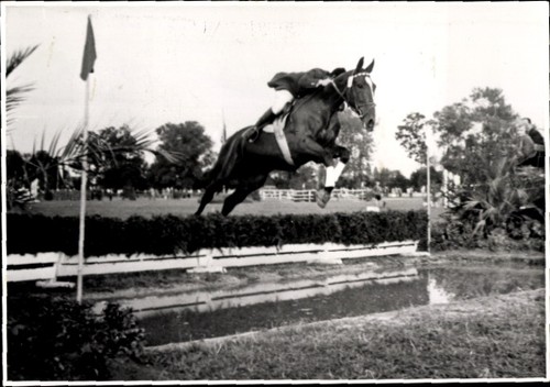Foto springreiten sprung - springreiten,,