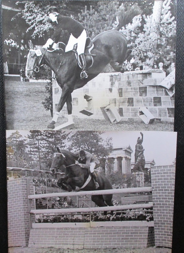 Erbe sammlung lot fotos - erbe, 4x