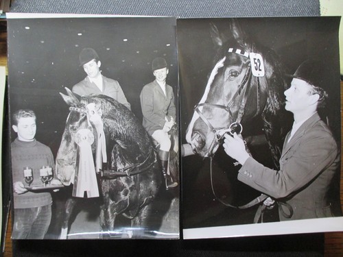 Erbe sammlung lot 12x fotos - sammlung,