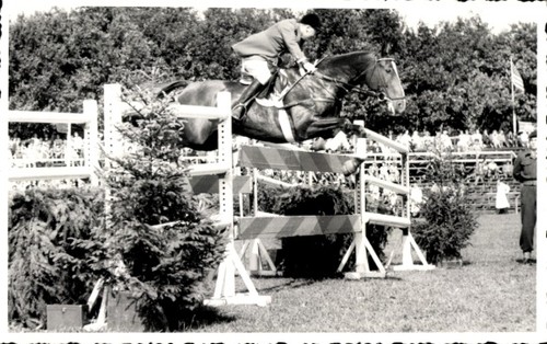 Foto springreiten sprung - ak,