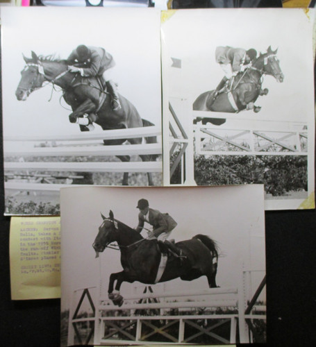 Erbe sammlung lot fotos - sammlung, 5x