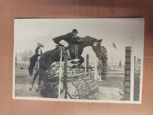 Postkarte foto spring reiten - foto,