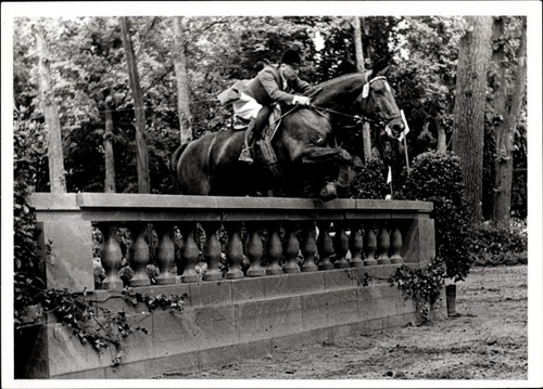 Foto springreiten sprung - foto, springreiten,