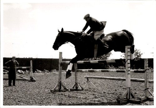 Foto springreiten sprung - foto,
