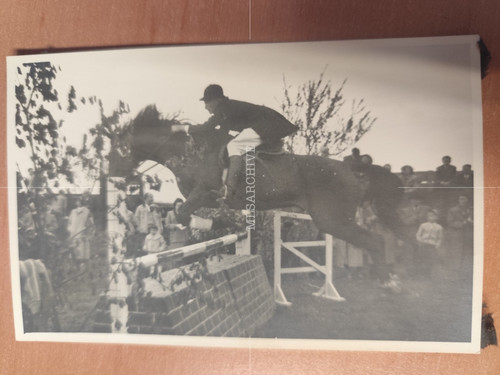 Postkarte foto spring reiten - foto,
