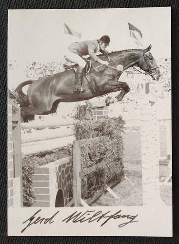 3641 gerd wiltfang - gerd,