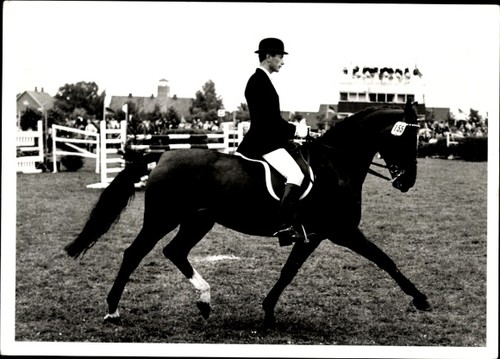 Foto springreiten pferd - foto,