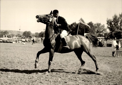 Foto springreiten reiter - reiter,