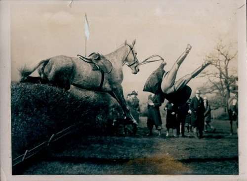 Foto springreiten - foto,