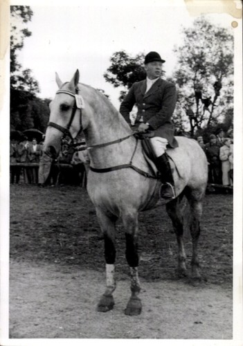 Foto reitturnier - foto,