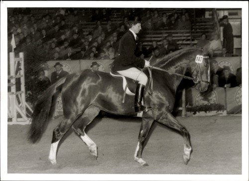 Foto reitturnier hannover - foto,