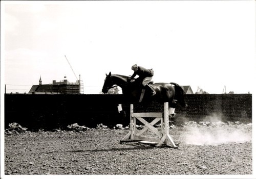 Foto springreiten sprung - springreiten,,