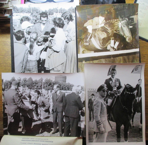 Erbe sammlung lot fotos - sammlung,