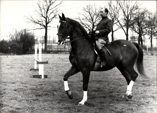 Foto springreiten reiter - reiter,