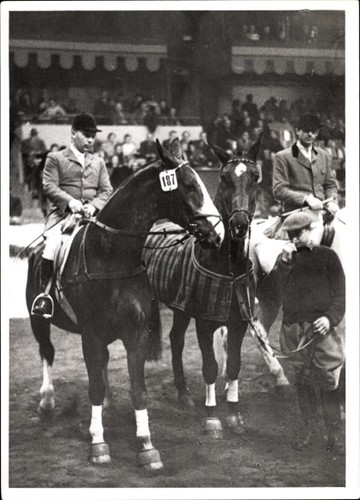 Foto münster springreiten - münster,,