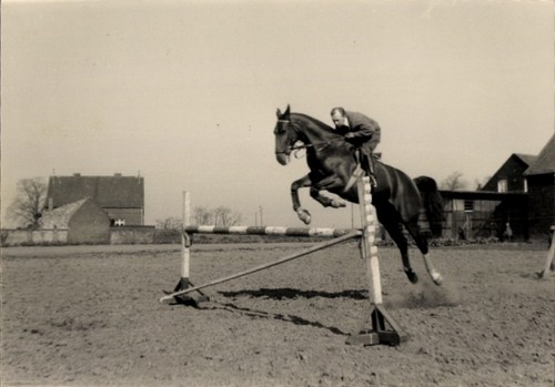 Foto springreiten sprung - springreiten,,
