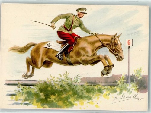 Springreiten pferd 13942008 - springreiten,