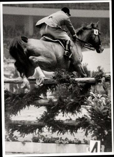 Foto berlin springreiten - foto, berlin,