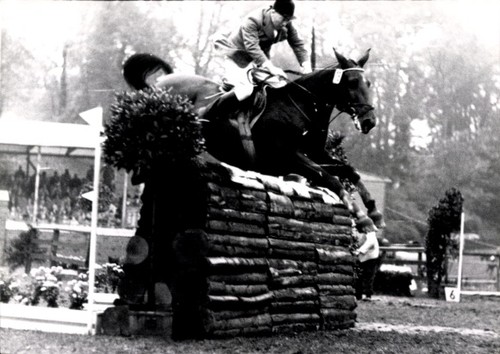 Foto springreiten sprung - foto,