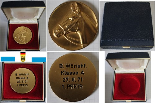 Reiten springreiten medaille - reiten,