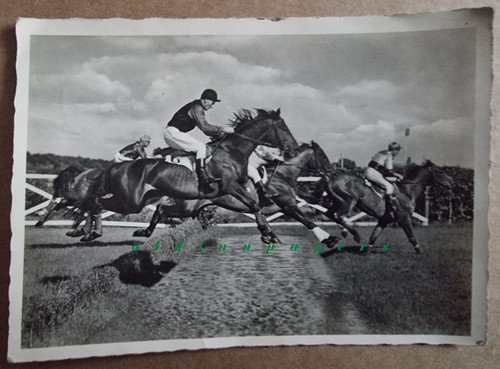 Springreiten military - springreiten,