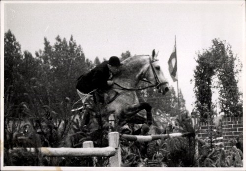 Foto springreiten sprung - foto, springreiten,