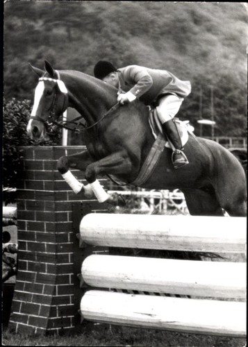 Foto springreiten sprung - ak, springreiten,